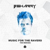 MUSIC FOR THE RAVERS – THE RMX