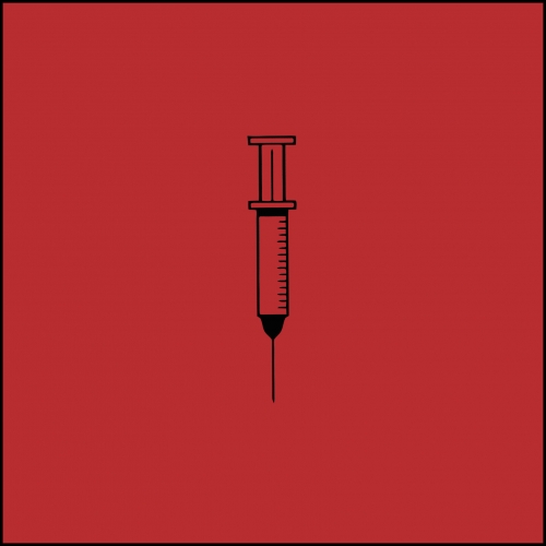 NIENT ALTRO CHE UN PUNK ROCKER – INDIE ONLY