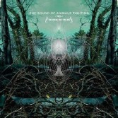 THE OCEAN AND THE SUN