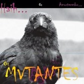 HAIH OR AMORTCECEDOR